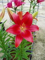 [1657 Mombasa No01.JPG]